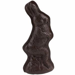 Bunny Rabbit Easter Faux Chocolate Decorative Mold